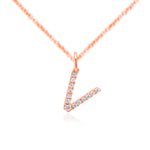 Load image into Gallery viewer, Rose