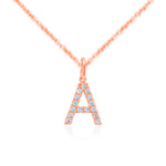 Load image into Gallery viewer, Rose