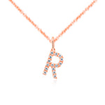 Load image into Gallery viewer, Rose