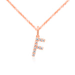 Load image into Gallery viewer, Rose