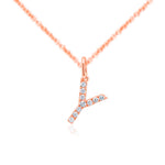 Load image into Gallery viewer, Rose