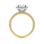 Load image into Gallery viewer, Yellow