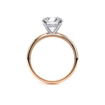 Load image into Gallery viewer, Rose