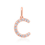 Load image into Gallery viewer, Rose