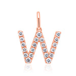 Load image into Gallery viewer, Rose