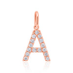 Load image into Gallery viewer, Rose