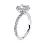 Load image into Gallery viewer, White