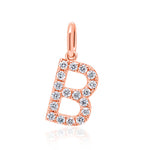 Load image into Gallery viewer, Rose