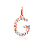 Load image into Gallery viewer, Rose